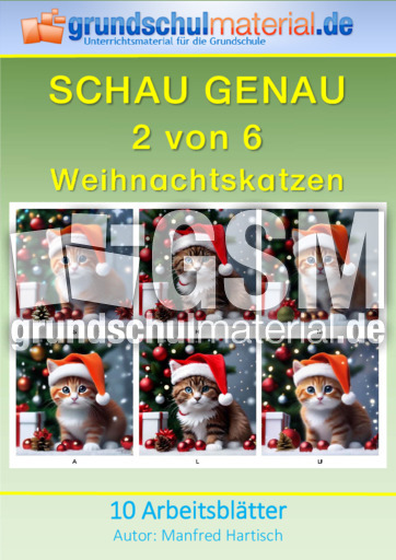 Weihnachtskatzen.pdf